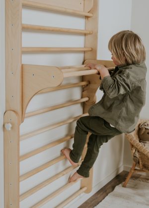 Pikler Triangle Climber with Swedish Wall Add-On (Ages 6m–7y)